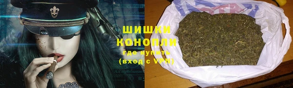 молекула духа Ладушкин