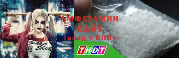 молекула духа Ладушкин