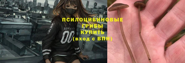 скорость Лагань