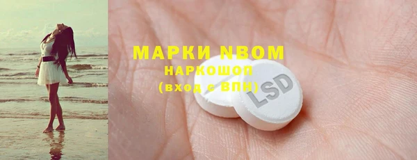 молекула духа Ладушкин