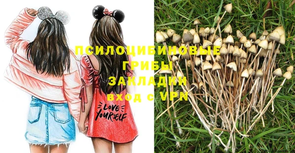 стаф Лихославль