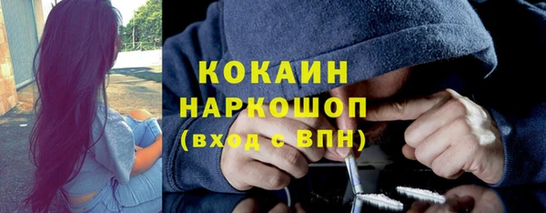 молекула духа Ладушкин
