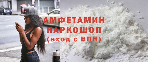 молекула духа Ладушкин