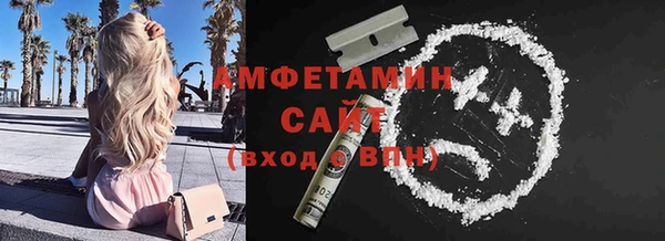 молекула духа Ладушкин