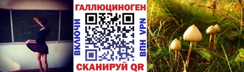 Галлюциногенные грибы Cubensis  Купить закладки  Каменногорск 